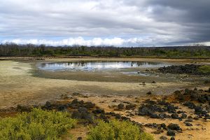 Dragon Hill, Santa Cruz Island, Galapagos 029.jpg